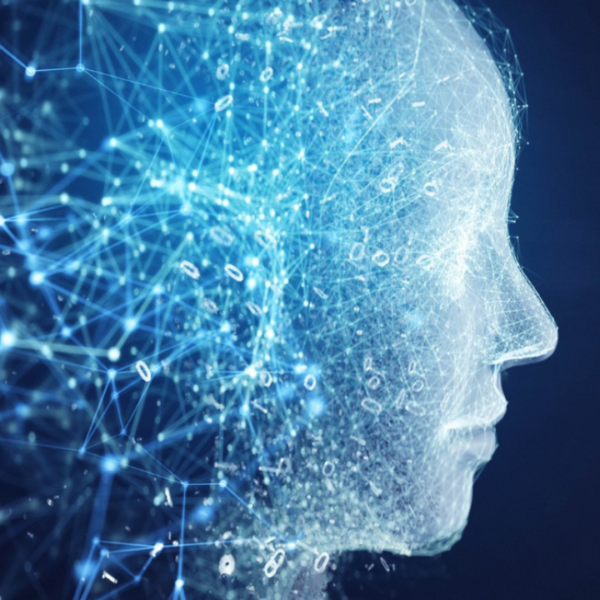 Dihward: Building a Smarter Digital Ecosystem for Identity, Security, and Innovation